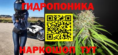 хмурый Донской
