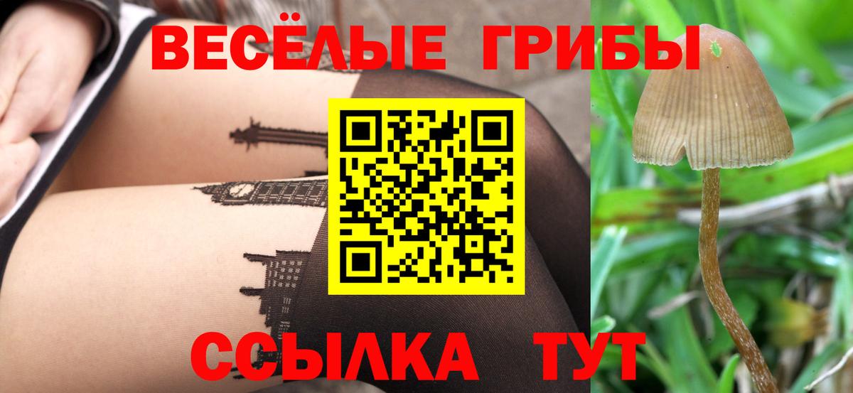 Псилоцибиновые грибы мухоморы  Вход с VPN  Ейск  Псилоцибиновые грибы Psilocybine cubensis 